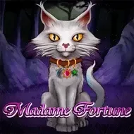 Madame FortuneHighfive